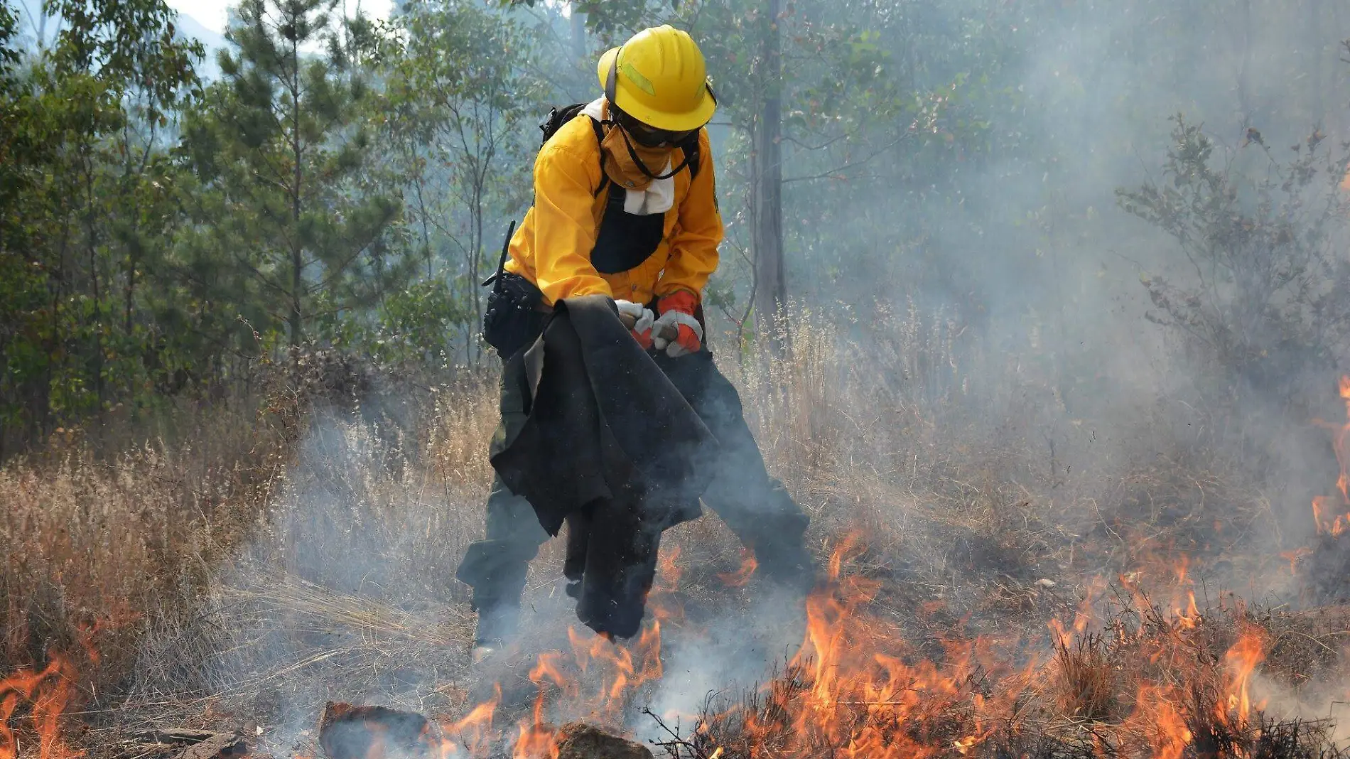 incendios forestales edomx 